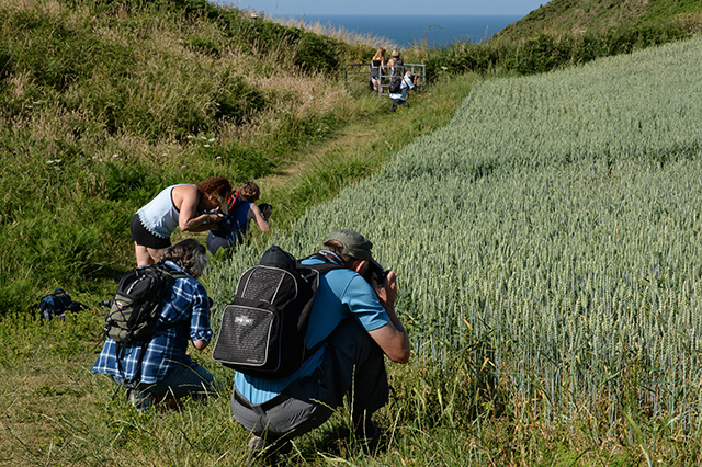 Mumbles coast path Workshop 2018 phil holden